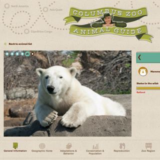 Columbus Zoo & Aquarium website